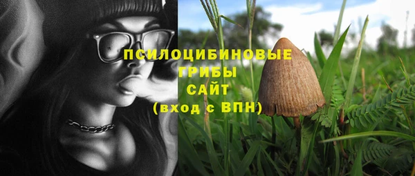 не бодяженный Балахна
