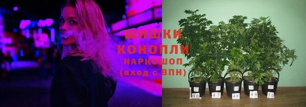 гидропоника Балабаново