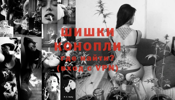 сатива Баксан