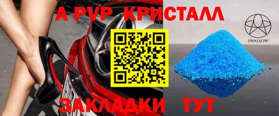 стаф Канаш