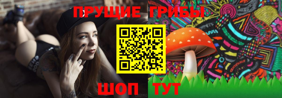 Псилоцибиновые грибы Magic Shrooms Свободный