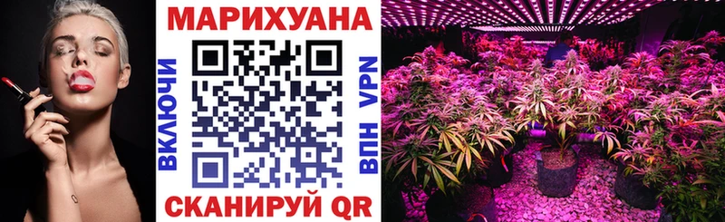 Шишки марихуана гибрид  Свободный 